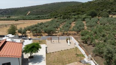 DJI_0216.jpg