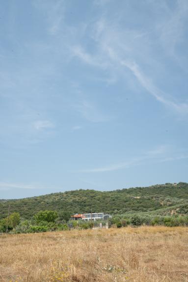 DSC04856.jpg