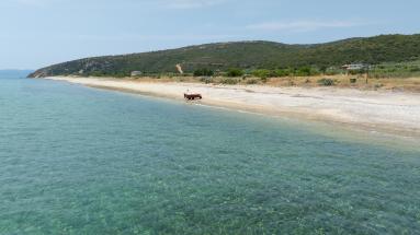 DJI_0204.jpg